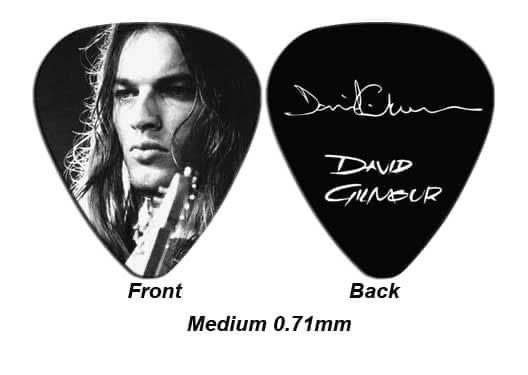 David Gilmour Guitar Pick